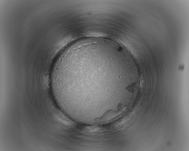 X0000094320351200711091346