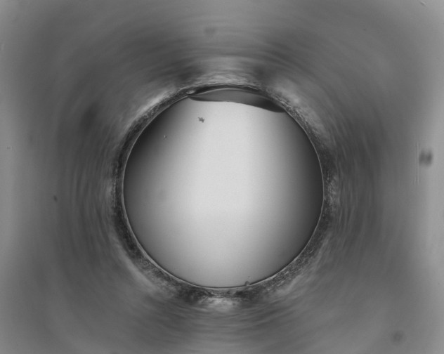 X0000094320352200711091346