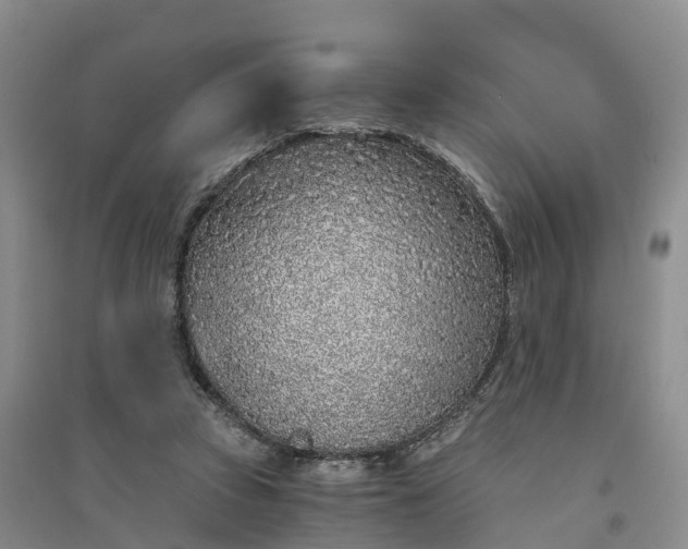 X0000094320353200711091346