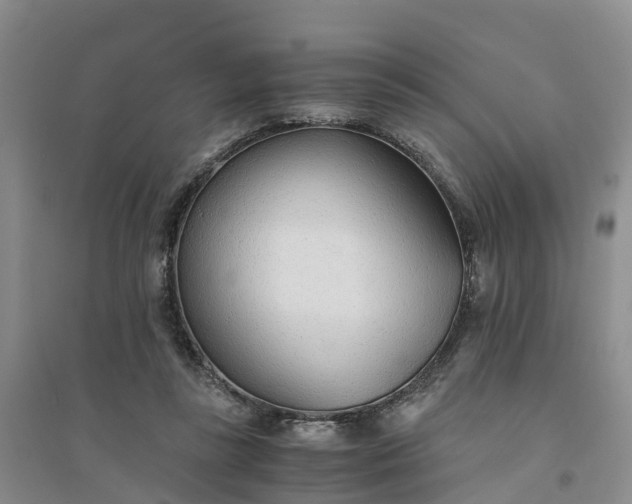 X0000094320355200711091346