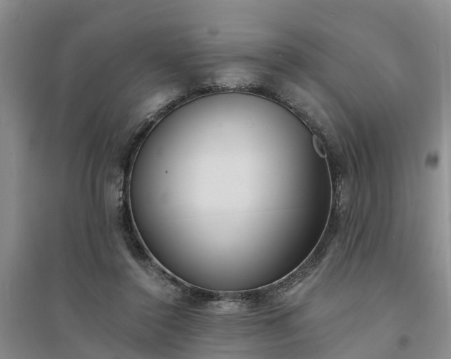 X0000094320356200711091346