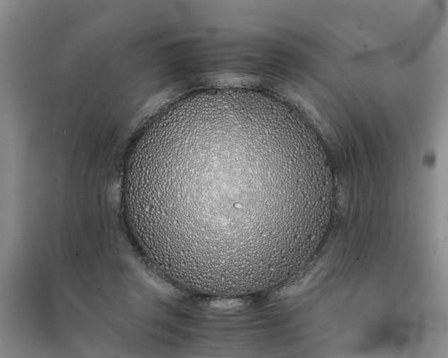 X0000094320357200711091346