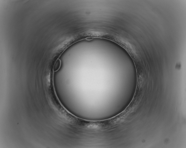 X0000094320358200711091346