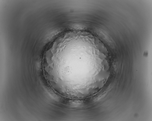 X0000094320359200711091347