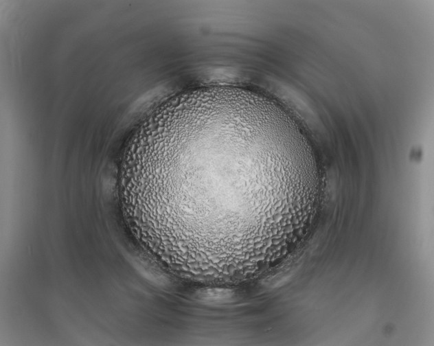X0000094320361200711091347