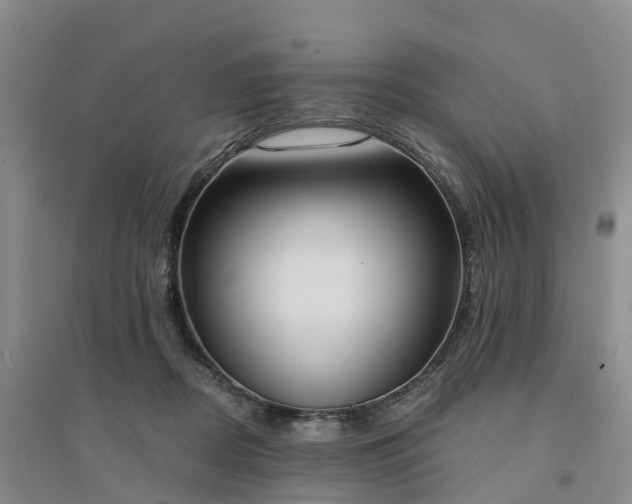X0000094320362200711091347