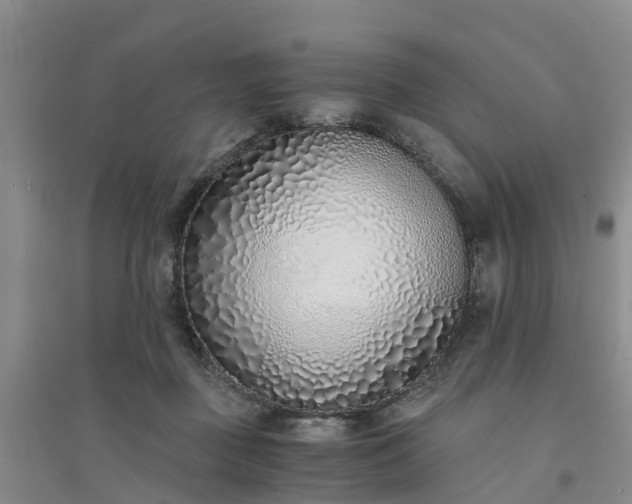 X0000094320363200711091347