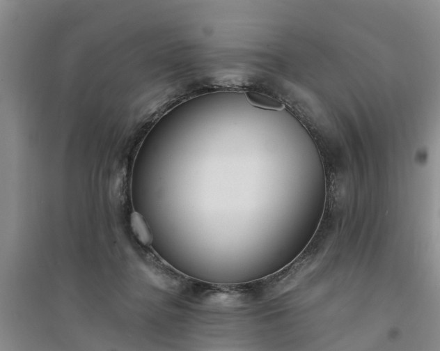 X0000094320364200711091347