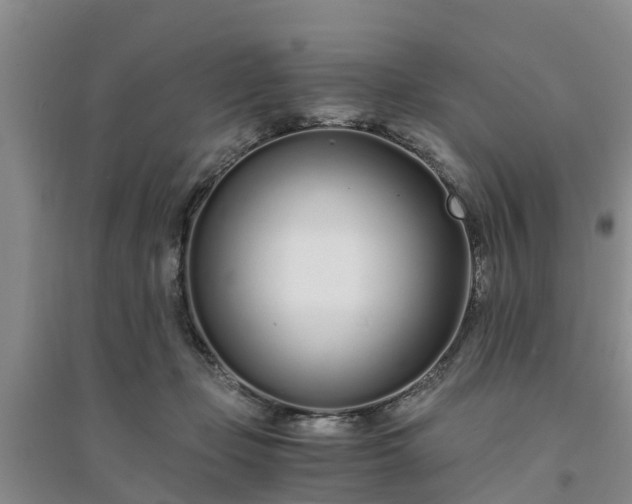 X0000094320365200711091347
