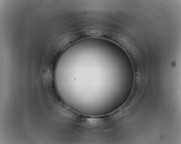 X0000094320371200711091347