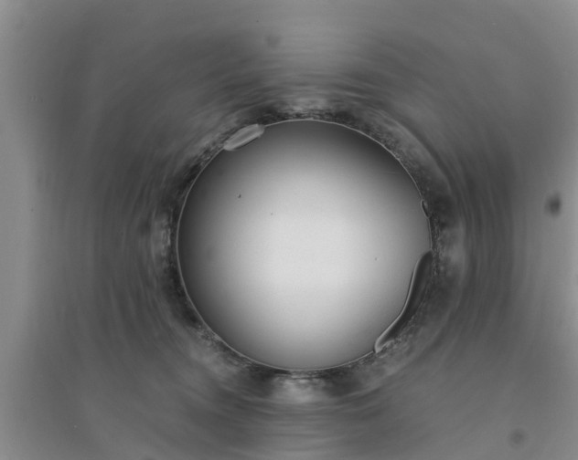 X0000094320372200711091347