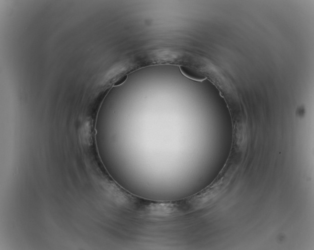X0000094320378200711091347