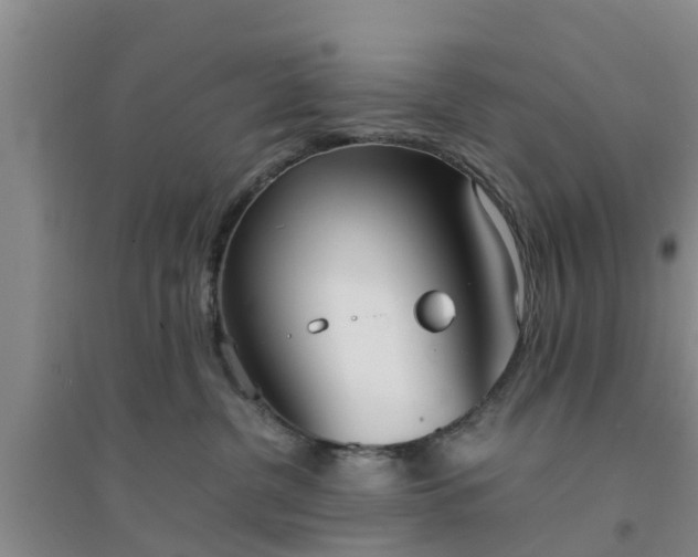 X0000094320380200711091347