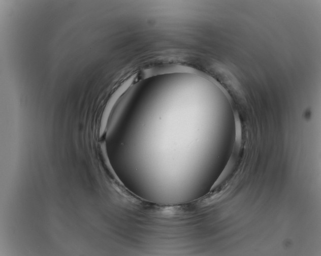 X0000094320382200711091347