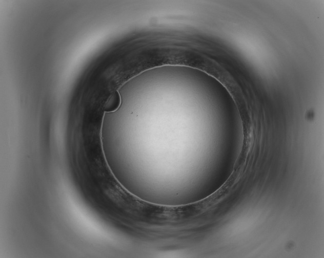 X0000094320383200711091347
