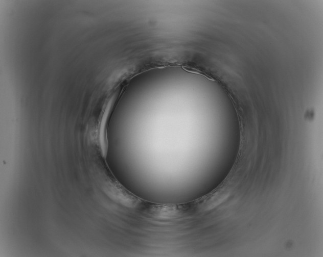 X0000094320384200711091347