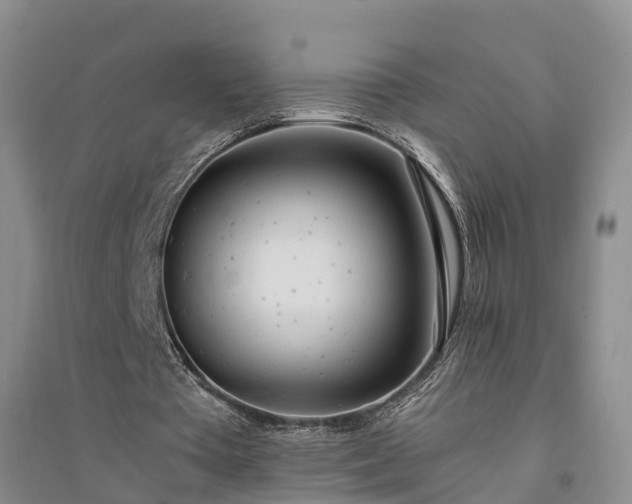 X0000094320385200711091346