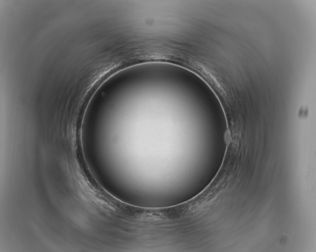 X0000094320386200711091346