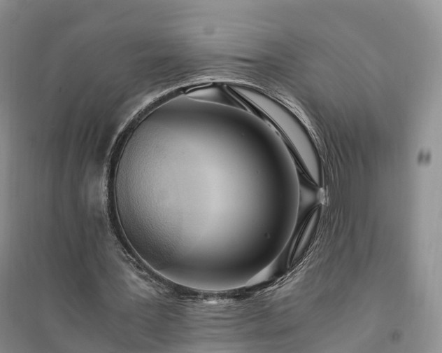 X0000094320387200711091346