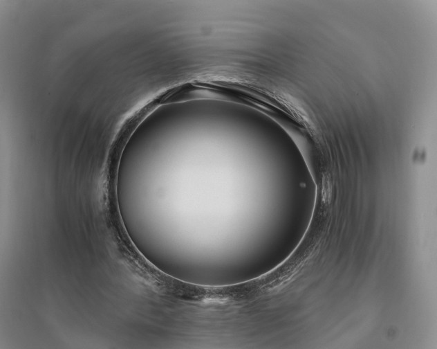 X0000094320388200711091346