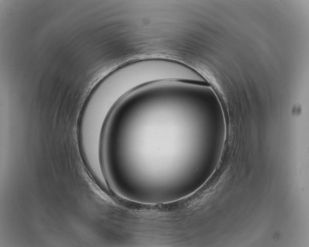 X0000094320389200711091346