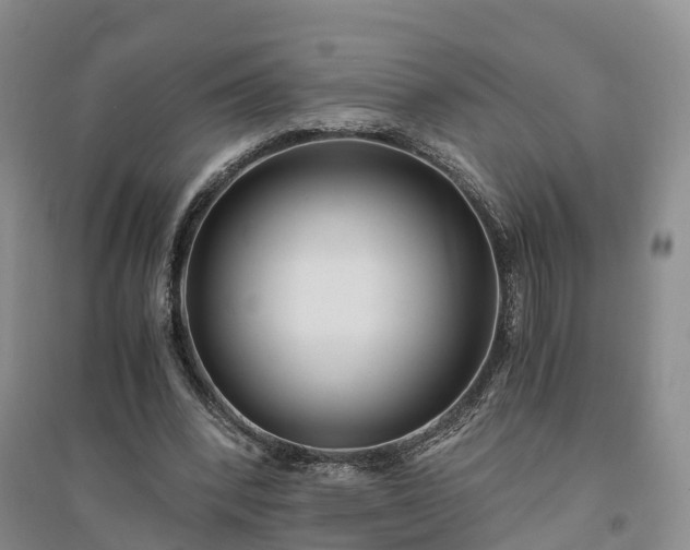 X0000094320392200711091346