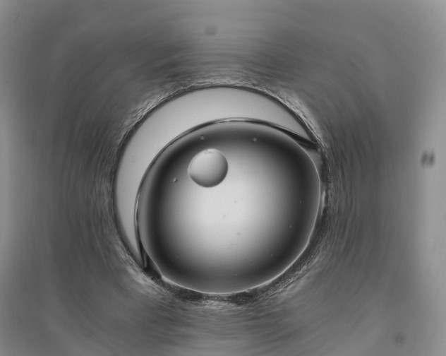 X0000094320393200711091346