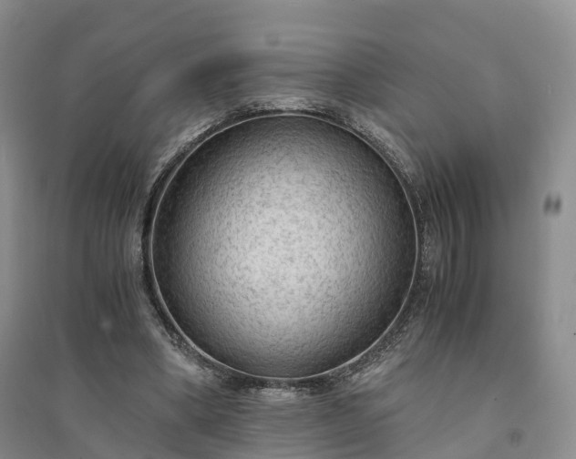 X0000094320394200711091346