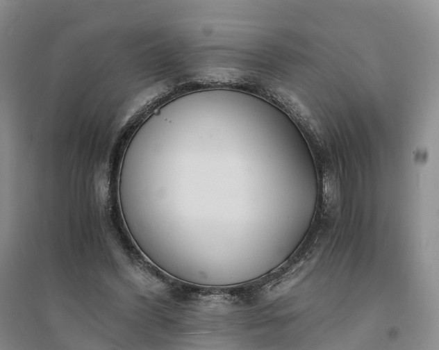X0000094320396200711091346