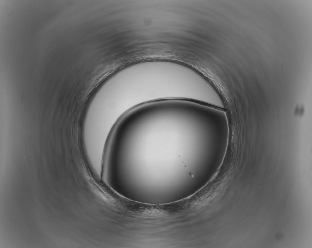 X0000094320397200711091346
