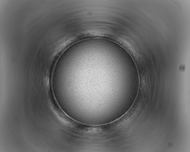 X0000094320398200711091346
