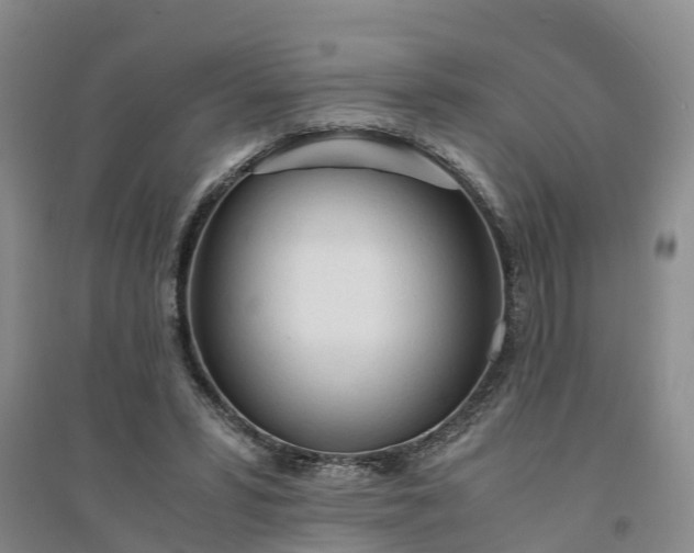 X0000094320399200711091346