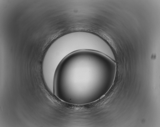 X0000094320401200711091346