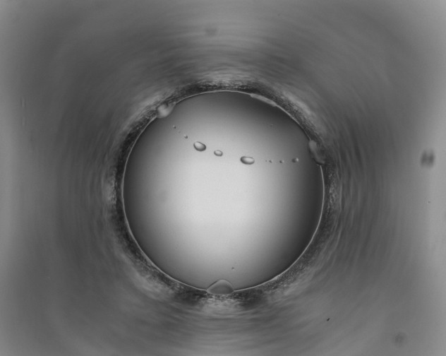 X0000094320403200711091346