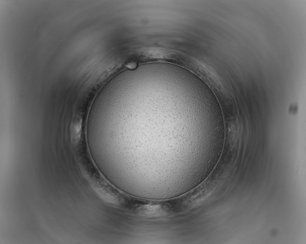 X0000094320406200711091346