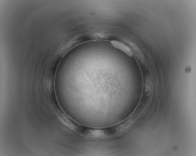 X0000094320409200711091346