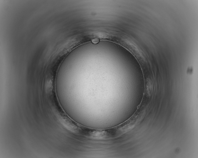 X0000094320410200711091346
