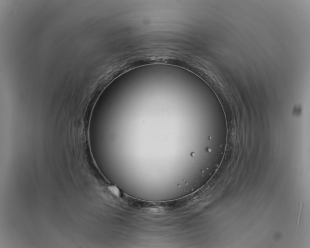X0000094320411200711091346