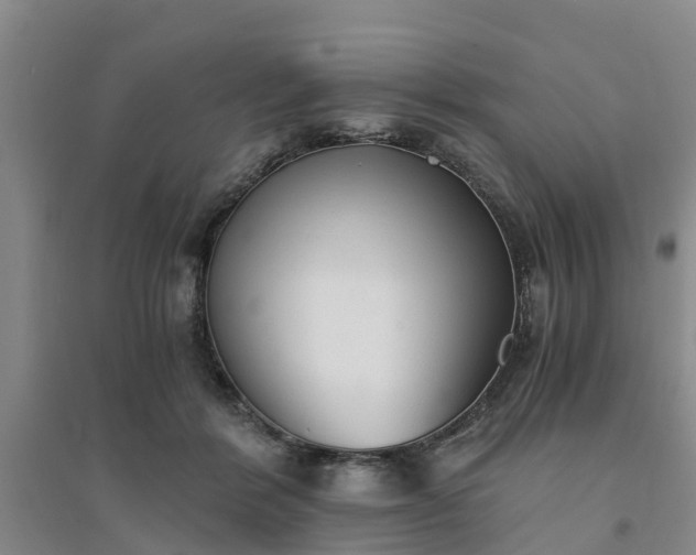 X0000094320412200711091346