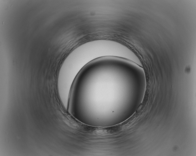 X0000094320413200711091346