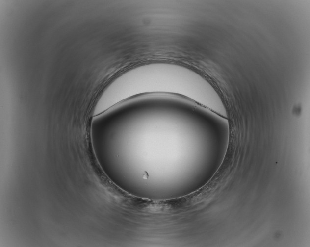 X0000094320415200711091346