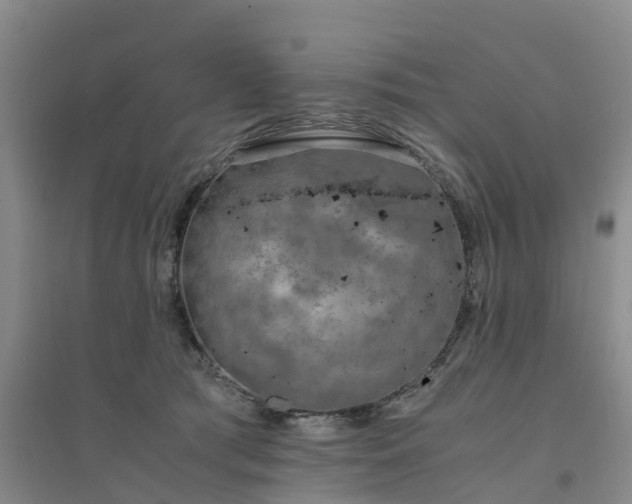 X0000094320417200711091346