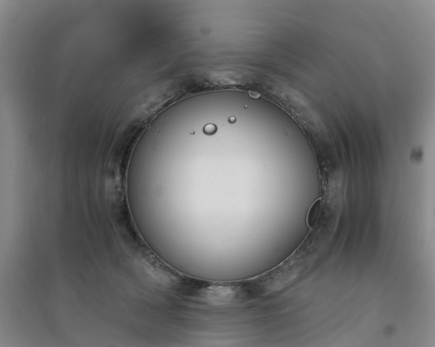 X0000094320418200711091346