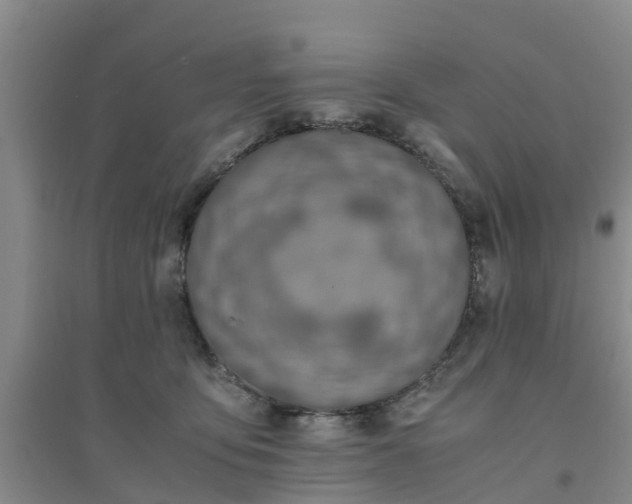 X0000094320419200711091346