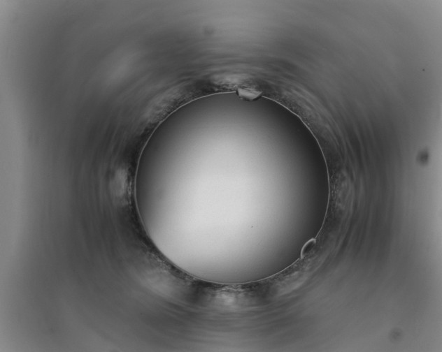 X0000094320420200711091346