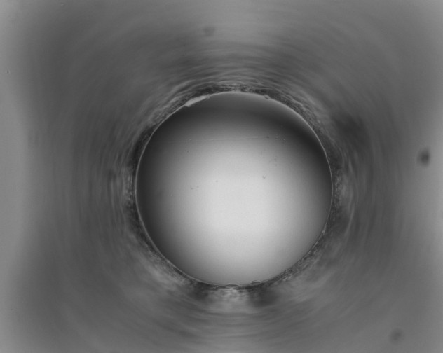 X0000094320421200711091346
