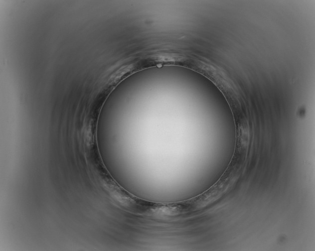 X0000094320422200711091346