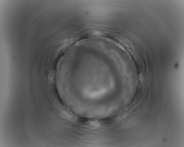 X0000094320423200711091346