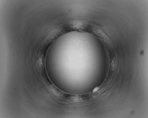 X0000094320424200711091346