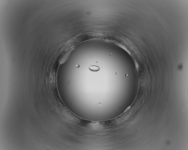 X0000094320425200711091346